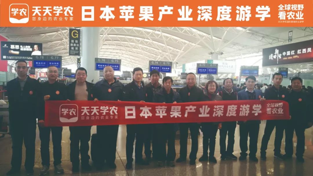 这果园怎么比花园还好看！快看看我们在日本游学发现了什么？