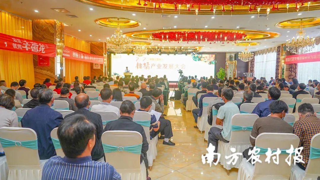 丰农控股出席2020中国（贺州）柑橘产业发展大会