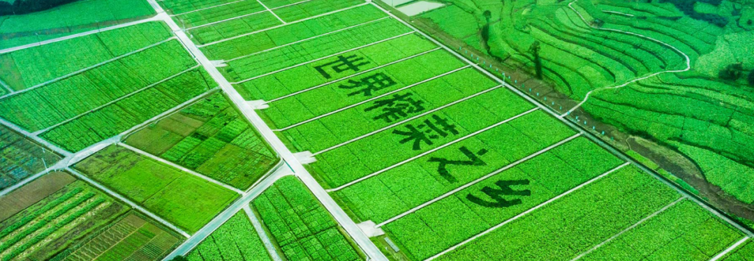 丰农控股与涪陵榨菜集团签署合作协议，为“百亿乌江”谋划未来市场