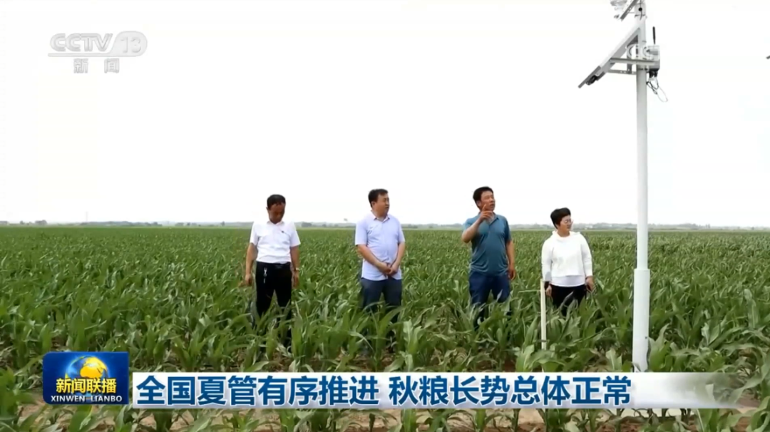 丰农控股玉米DAP试验基地获央视《新闻联播》报道